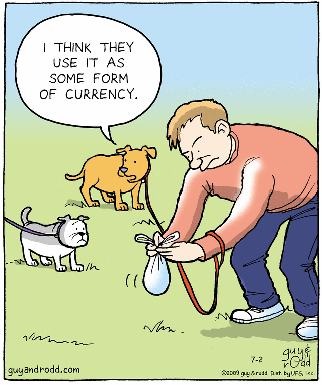 brevity